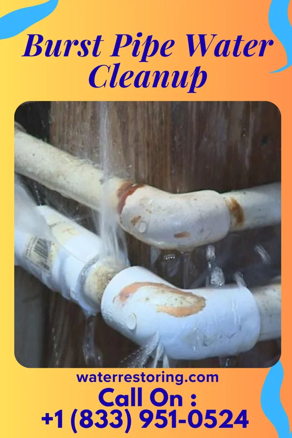Burst Pipe Water Cleanup in Parkville, PA