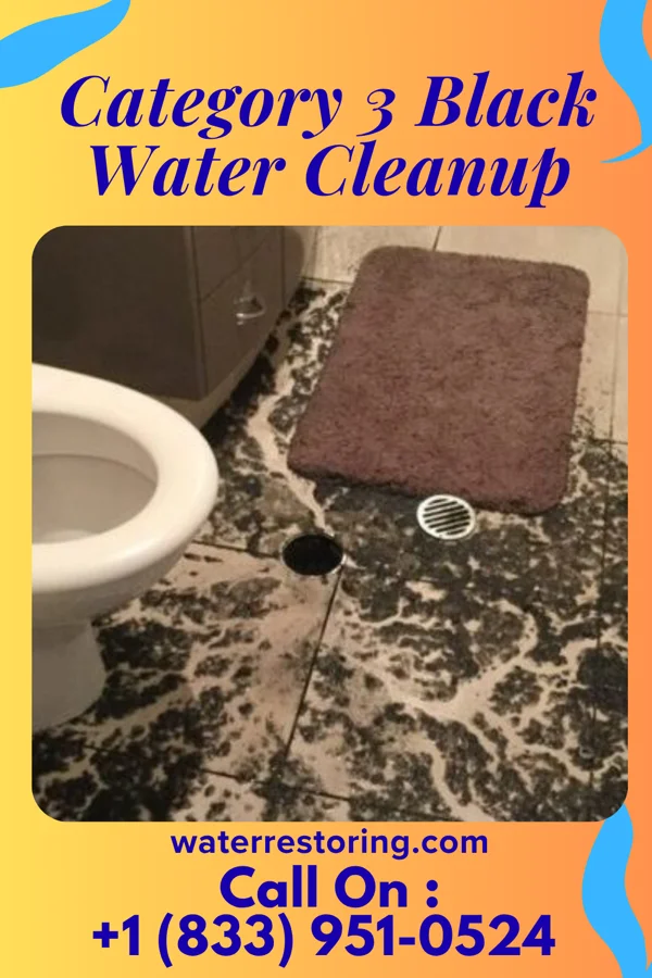 Category 3 Black Water Cleanup in Parkville, PA