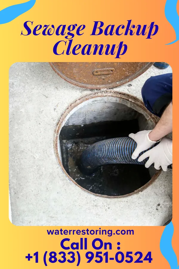 Sewage Backup Cleanup in Parkville, PA