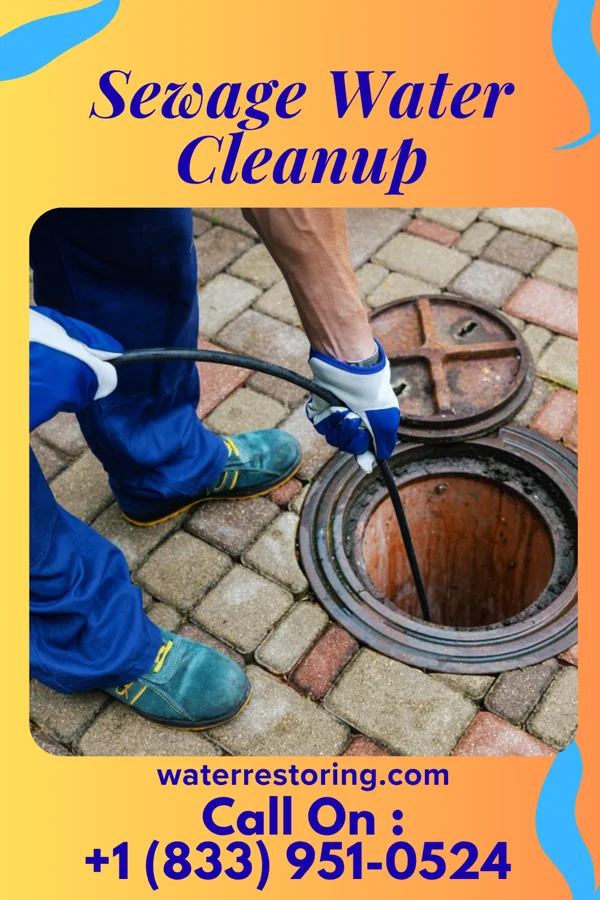 Sewage Water Cleanup in Parkville, PA